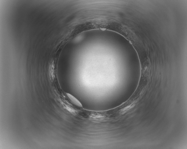X0000076040772200609221119