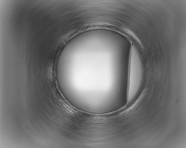 X0000076040777200609221119