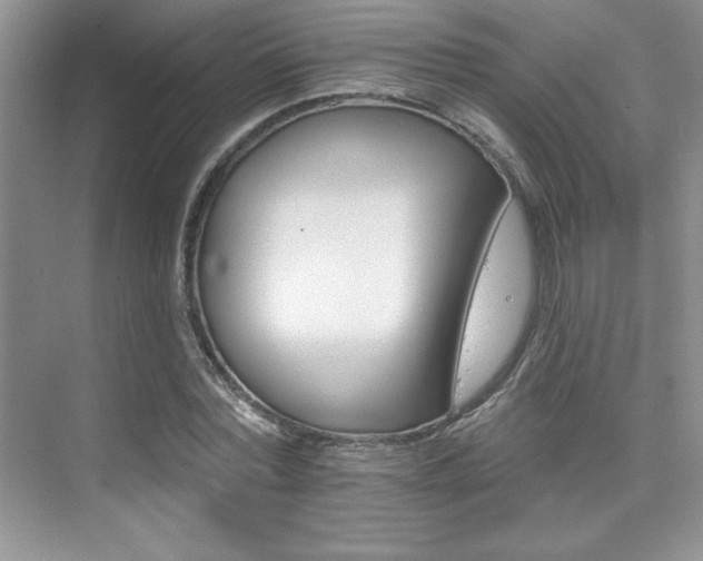 X0000076040780200609221119