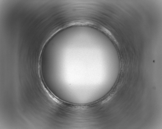 X0000076040802200609221118