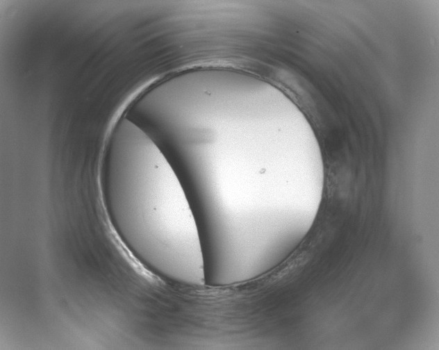 X0000076040804200609221118