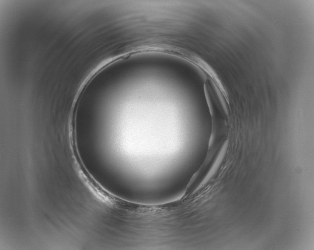 X0000076040811200609221118