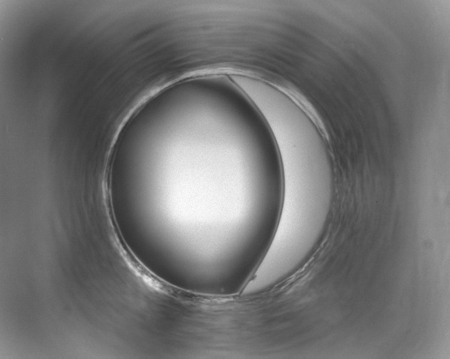 X0000076040813200609221118