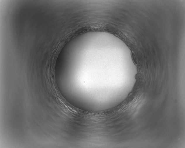 X0000076040817200609221117