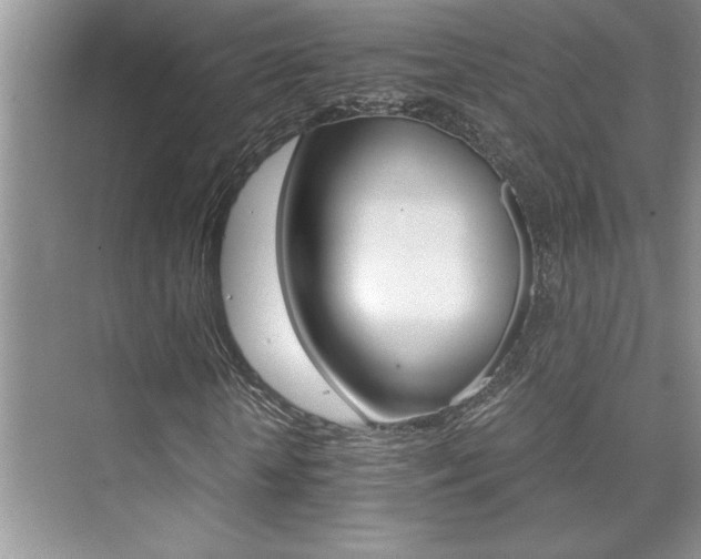 X0000076040818200609221117