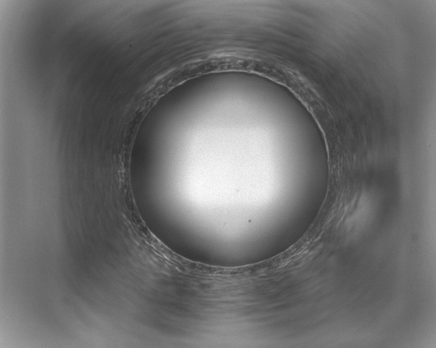 X0000076040821200609221117