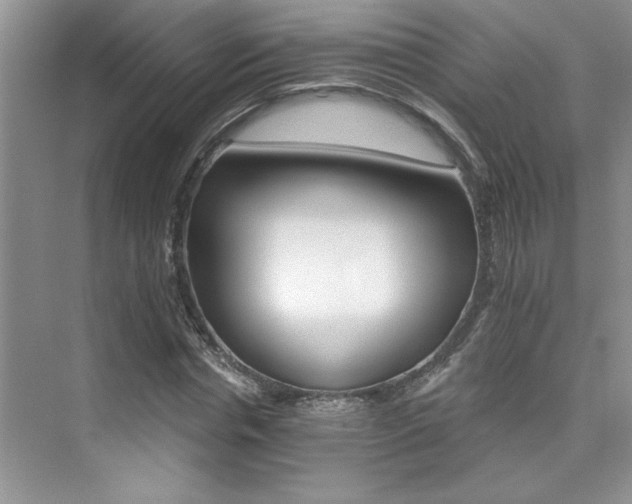 X0000076040826200609221117
