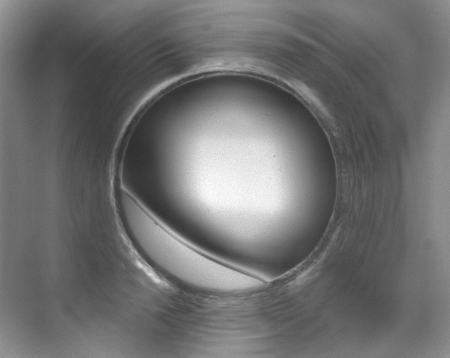 X0000076040846200609221118
