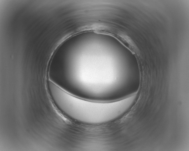 X0000076040850200609221118