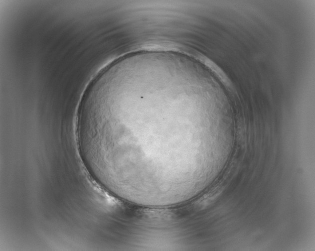 X0000076040856200609221118