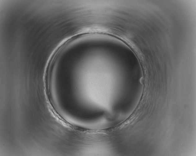X0000076040864200609221118