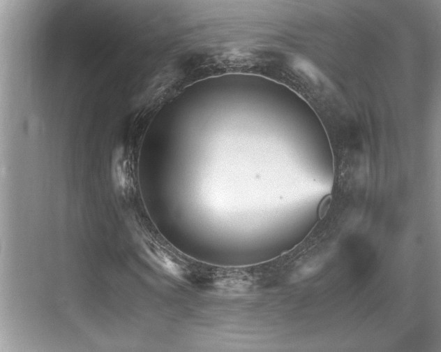 X0000076040866200609221117