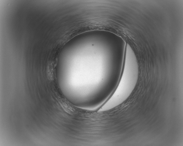 X0000076040868200609221117