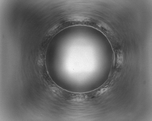 X0000076040869200609221117