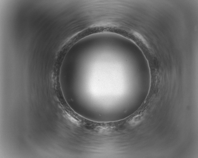 X0000076040872200609221117