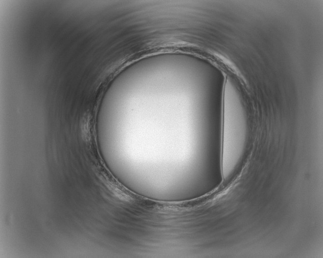X0000076040873200609221117