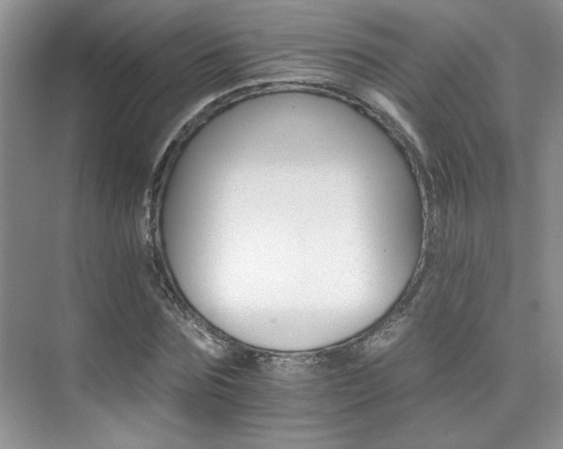 X0000076040875200609221117