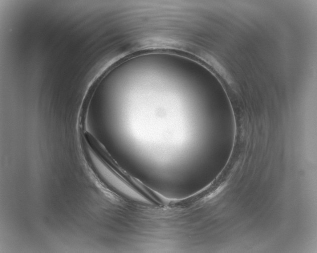 X0000076040885200609221117