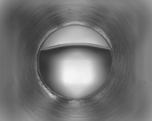 X0000076040898200609221117