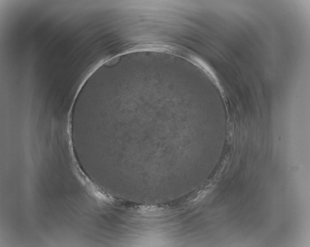X0000076040907200609221116