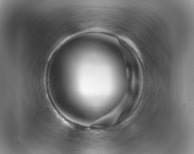 X0000076040910200609221116