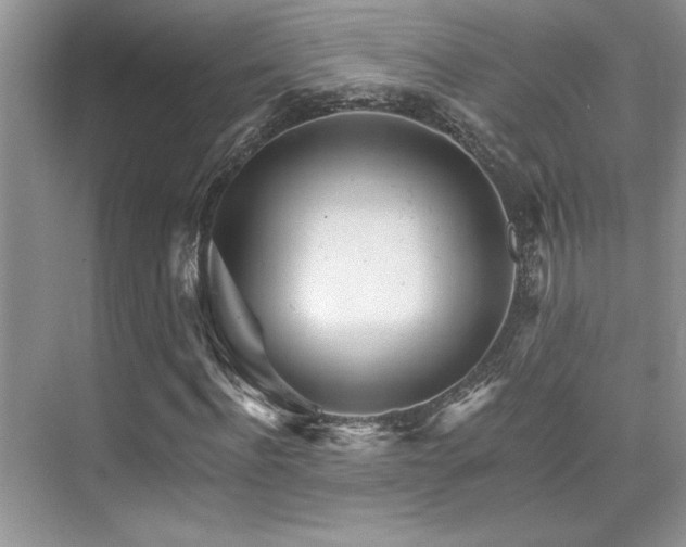 X0000076040916200609221116