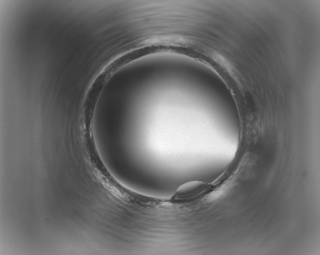 X0000076040923200609221116
