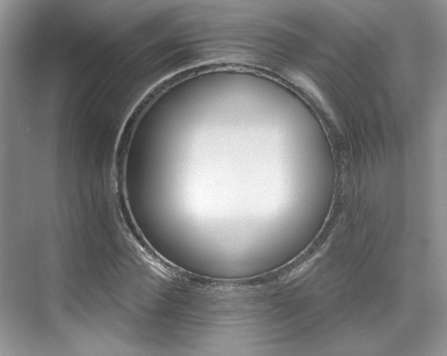 X0000076040924200609221116