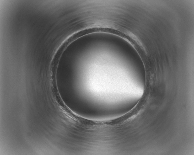 X0000076040926200609221116