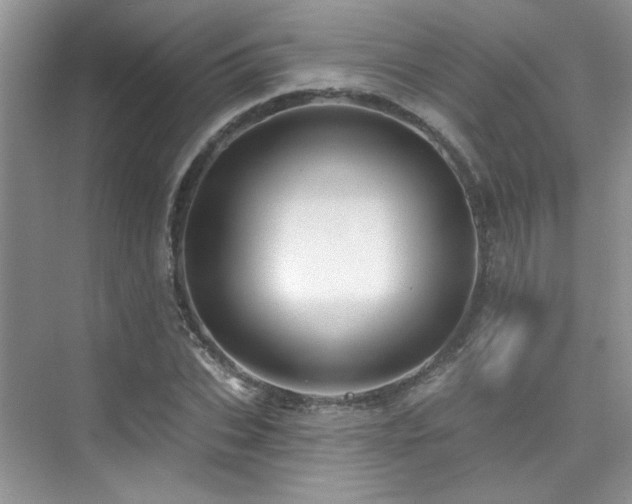 X0000076040927200609221116