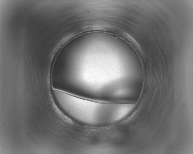 X0000076040938200609221116
