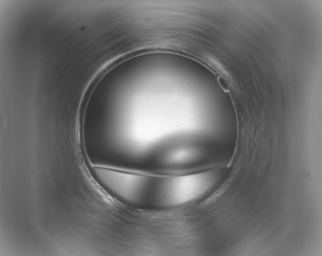 X0000076040940200609221116