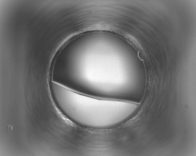 X0000076040942200609221116