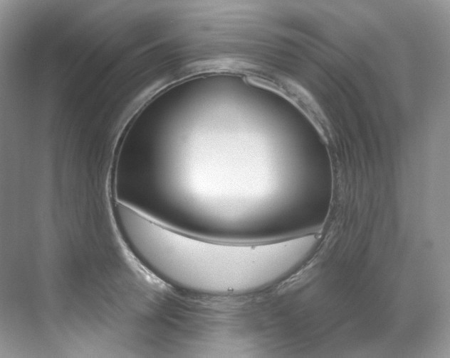 X0000076040946200609221116