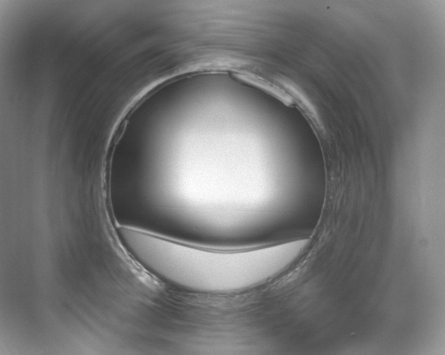 X0000076040948200609221116