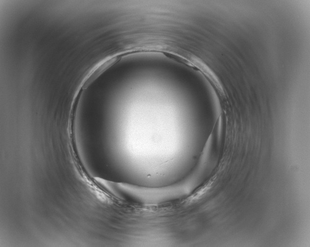 X0000076040956200609221116