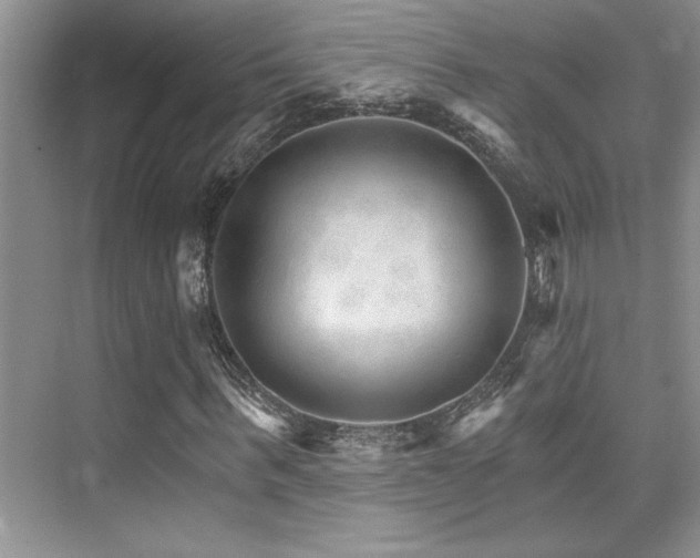 X0000076040963200609221115
