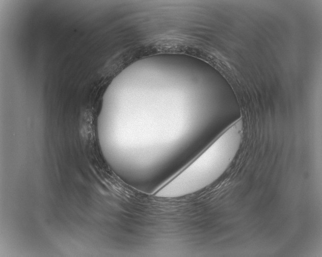 X0000076040964200609221115
