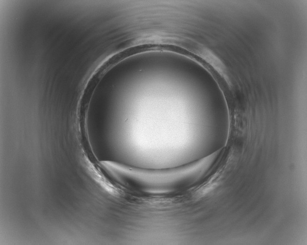 X0000076040972200609221115