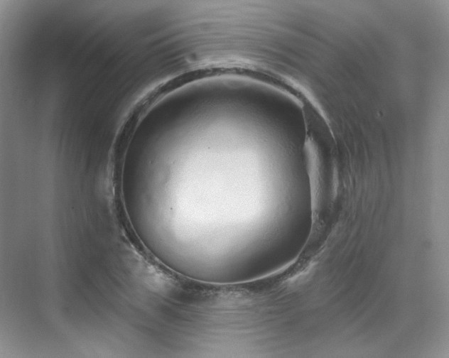 X0000076040979200609221115