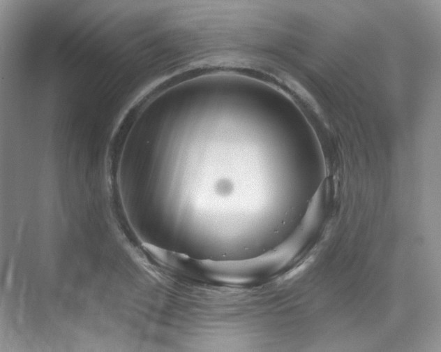 X0000076040981200609221115