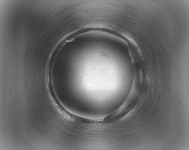 X0000076040984200609221115