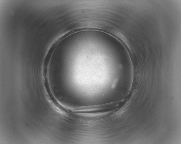 X0000076040987200609221115
