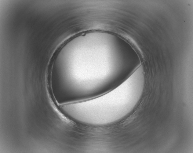 X0000076040991200609221115