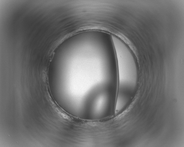 X0000076040993200609221115