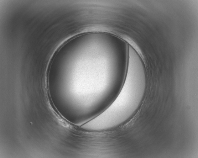X0000076040996200609221115