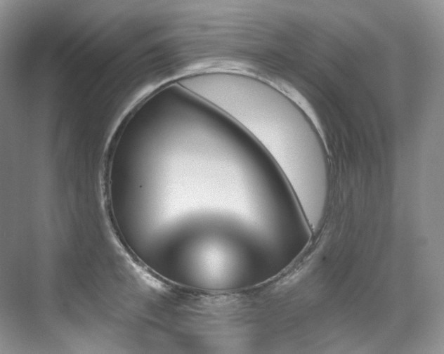 X0000076040997200609221115