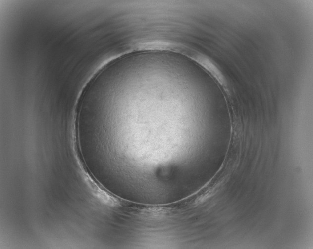 X0000076041000200609221115