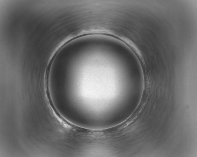 X0000076041006200609221115