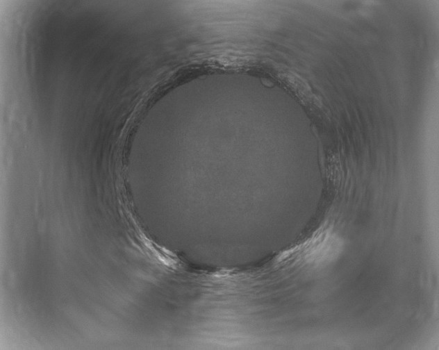 X0000076041009200609221114
